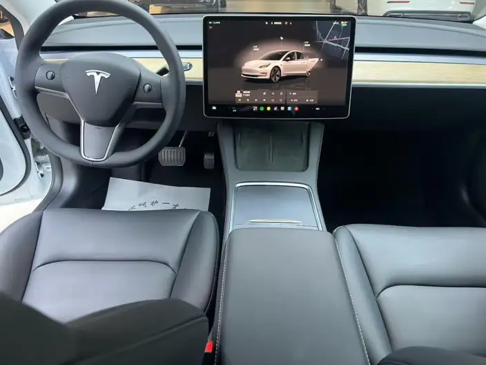 Model 3 2022 Model Rear-wheel drive version – фото 7