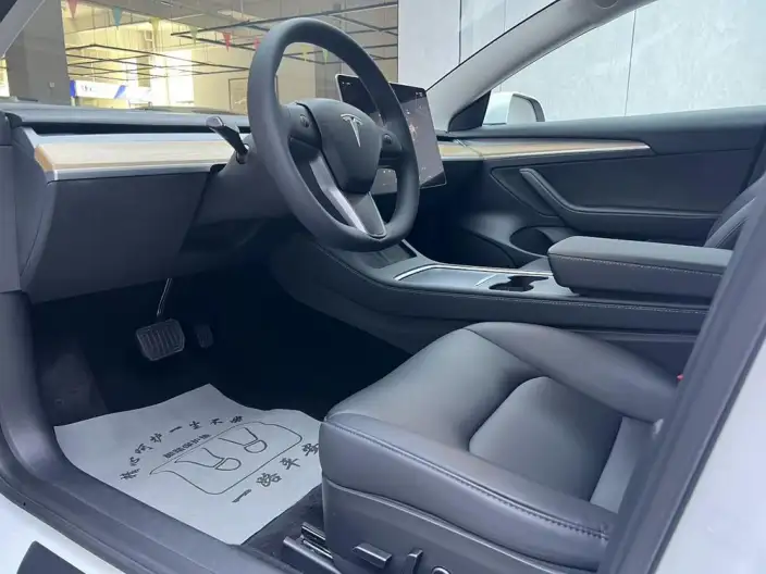 Model 3 2022 Model Rear-wheel drive version – фото 8