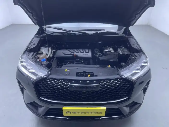 Haval H6 2021 Model Third generation 1.5GDIT Automatic Max Edition – фото 10