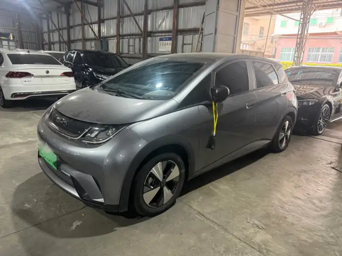 BYD Dolphin 2023 Model Fashion Edition – фото 1