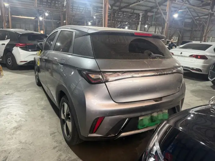BYD Dolphin 2023 Model Fashion Edition – фото 3