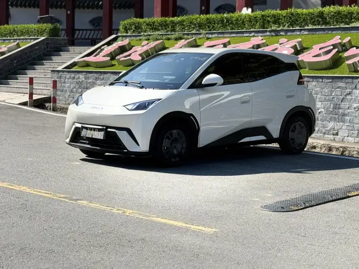 BYD Seagull 2025 Model 305KM Vitality Edition – фото 1