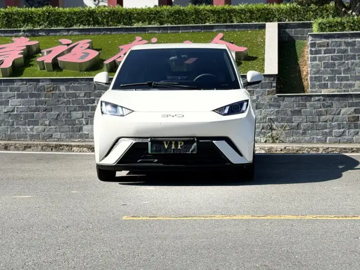 BYD Seagull 2025 Model 305KM Vitality Edition – фото 2