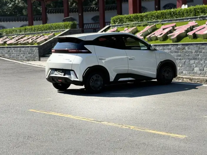BYD Seagull 2025 Model 305KM Vitality Edition – фото 6