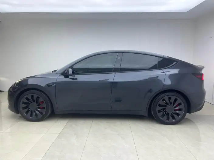 Model Y 2024 Model Performance High performance All-wheel drive version – фото 4
