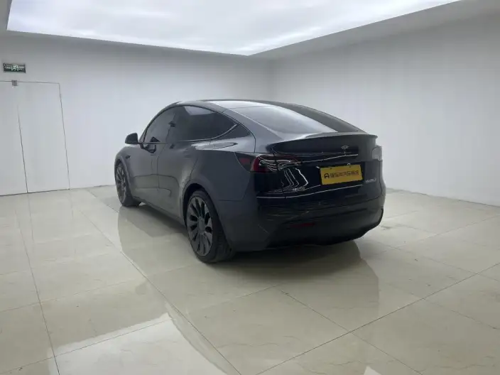 Model Y 2024 Model Performance High performance All-wheel drive version – фото 5