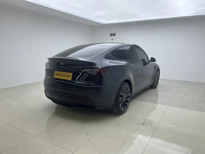 Model Y 2024 Model Performance High performance All-wheel drive version – фото 7