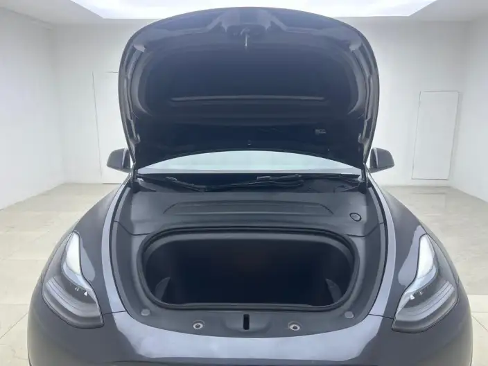 Model Y 2024 Model Performance High performance All-wheel drive version – фото 10