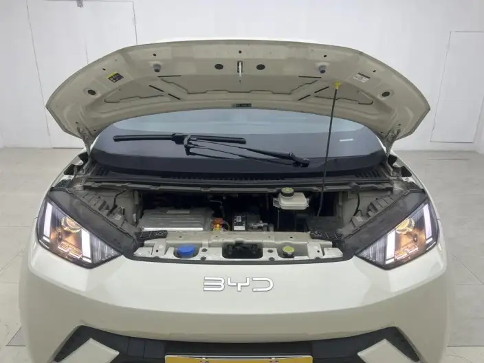 BYD Seagull 2025 Model 305KM Vitality Edition – фото 10