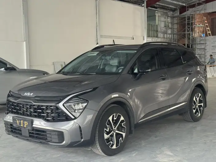 Lion Platinum 2023 Model 1.5T 2WD Premium Edition – фото 1