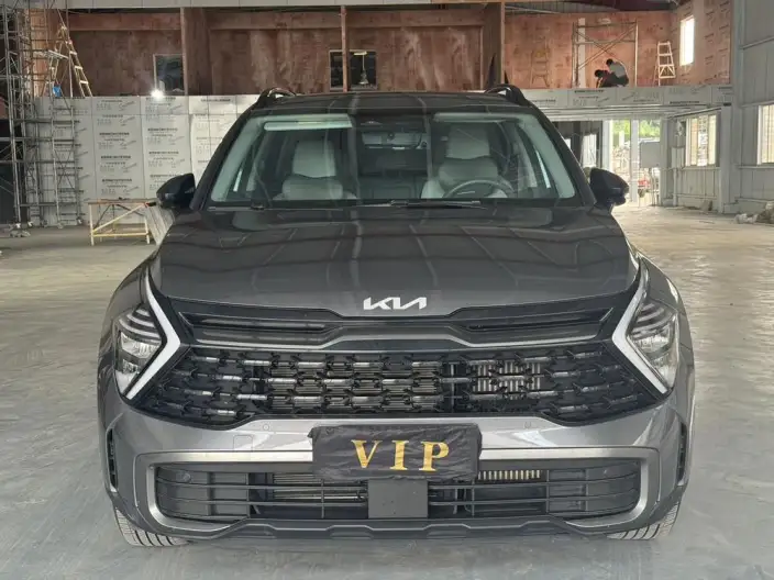 Lion Platinum 2023 Model 1.5T 2WD Premium Edition – фото 2