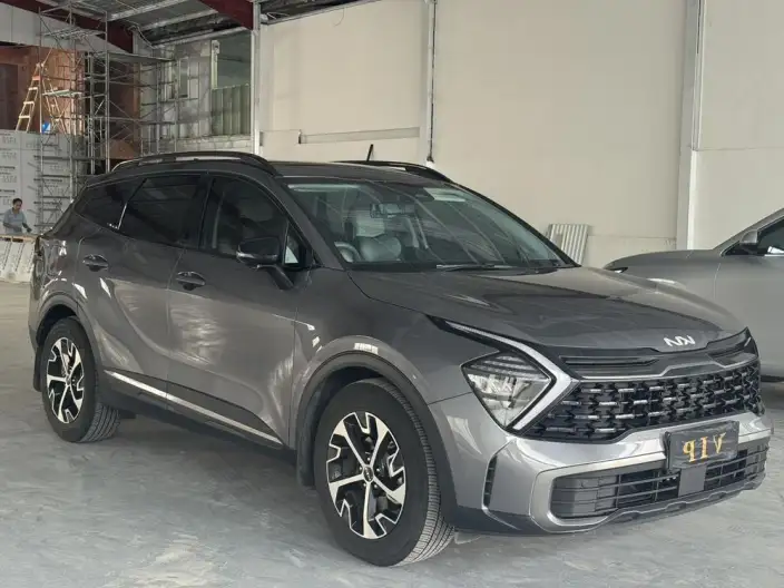 Lion Platinum 2023 Model 1.5T 2WD Premium Edition – фото 3