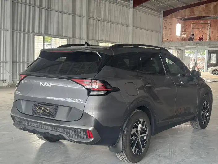 Lion Platinum 2023 Model 1.5T 2WD Premium Edition – фото 6