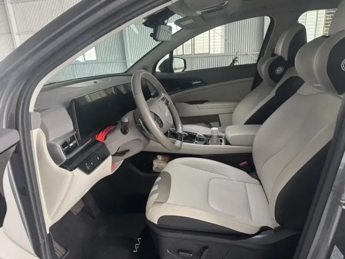 Lion Platinum 2023 Model 1.5T 2WD Premium Edition – фото 8