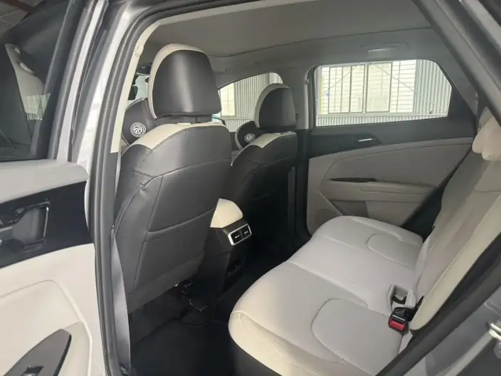 Lion Platinum 2023 Model 1.5T 2WD Premium Edition – фото 9