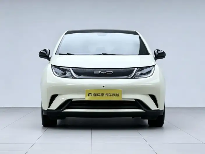 BYD Dolphin 2023 Model Fashion Edition – фото 2