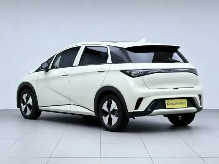 BYD Dolphin 2023 Model Fashion Edition – фото 5