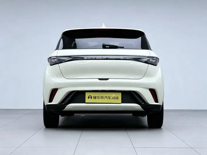 BYD Dolphin 2023 Model Fashion Edition – фото 6