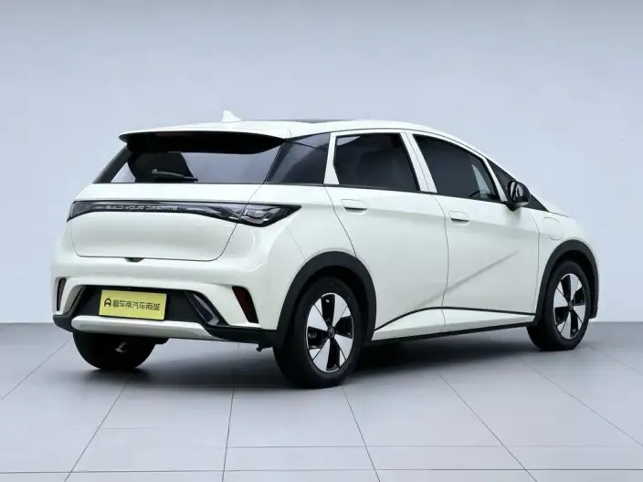 BYD Dolphin 2023 Model Fashion Edition – фото 7