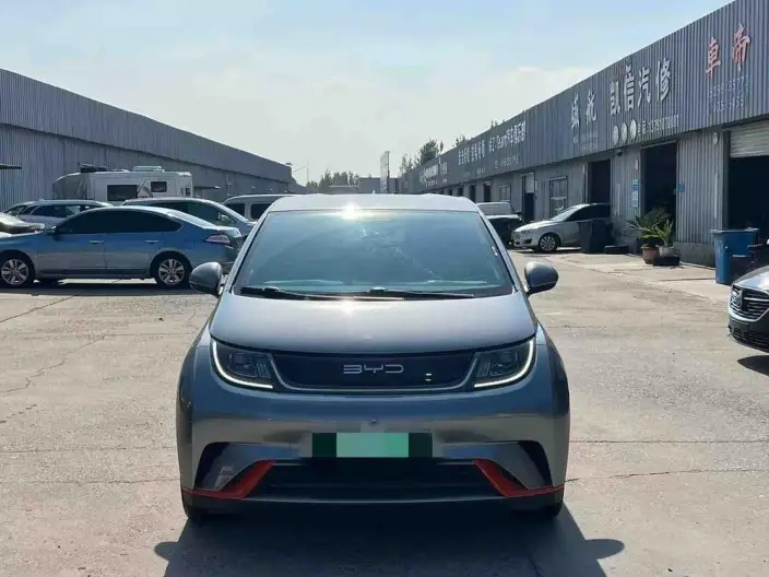 BYD Dolphin 2021 Model Fashion Edition – фото 2