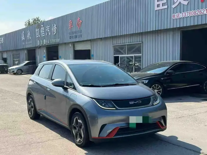 BYD Dolphin 2021 Model Fashion Edition – фото 3