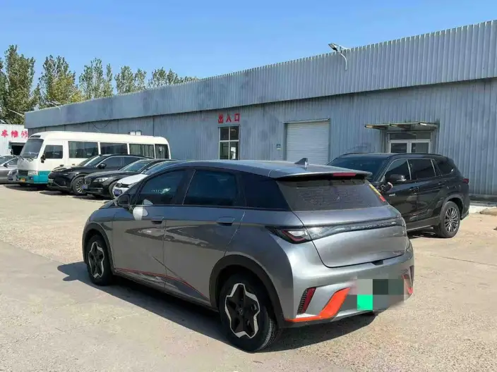 BYD Dolphin 2021 Model Fashion Edition – фото 4
