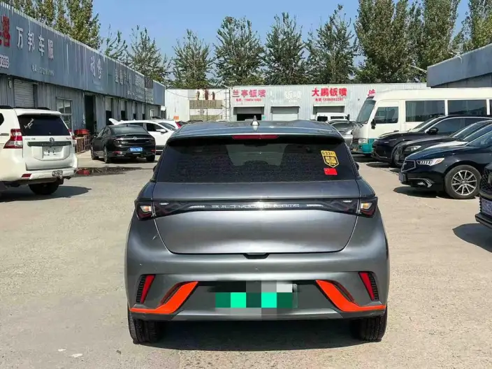BYD Dolphin 2021 Model Fashion Edition – фото 5