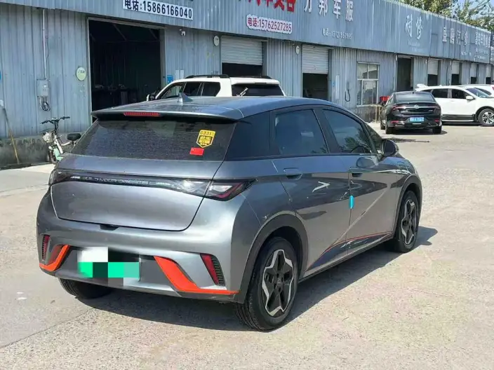 BYD Dolphin 2021 Model Fashion Edition – фото 6