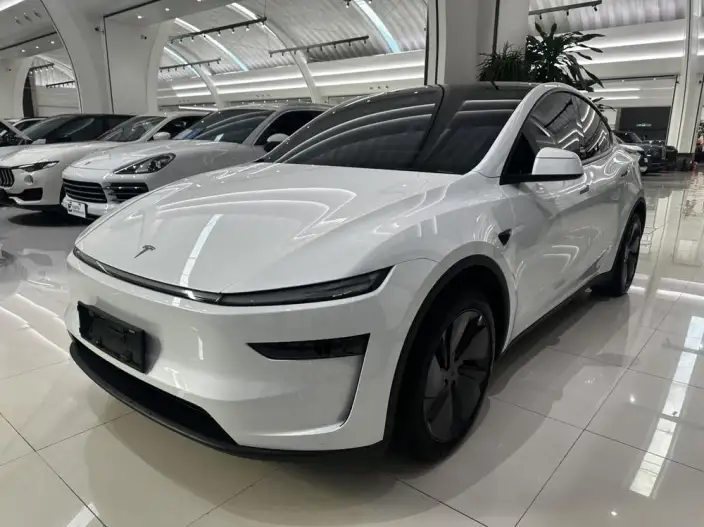 Model Y 2025 Model Rear-wheel drive version – фото 1