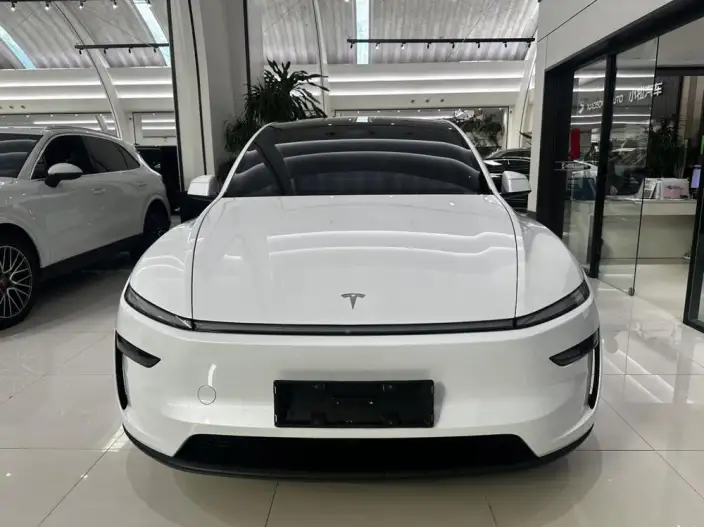 Model Y 2025 Model Rear-wheel drive version – фото 2