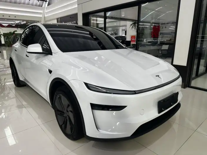 Model Y 2025 Model Rear-wheel drive version – фото 3