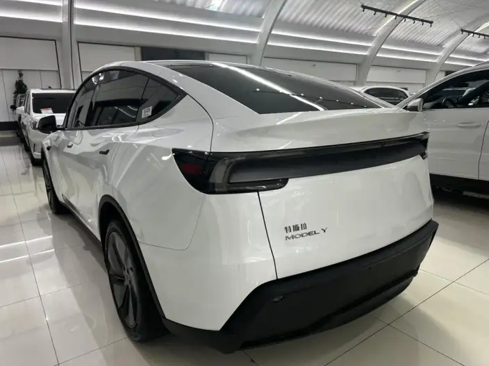 Model Y 2025 Model Rear-wheel drive version – фото 4