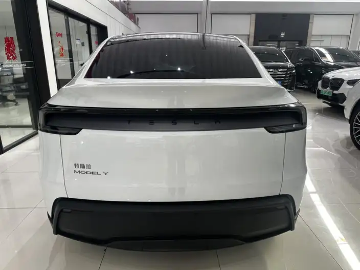Model Y 2025 Model Rear-wheel drive version – фото 5