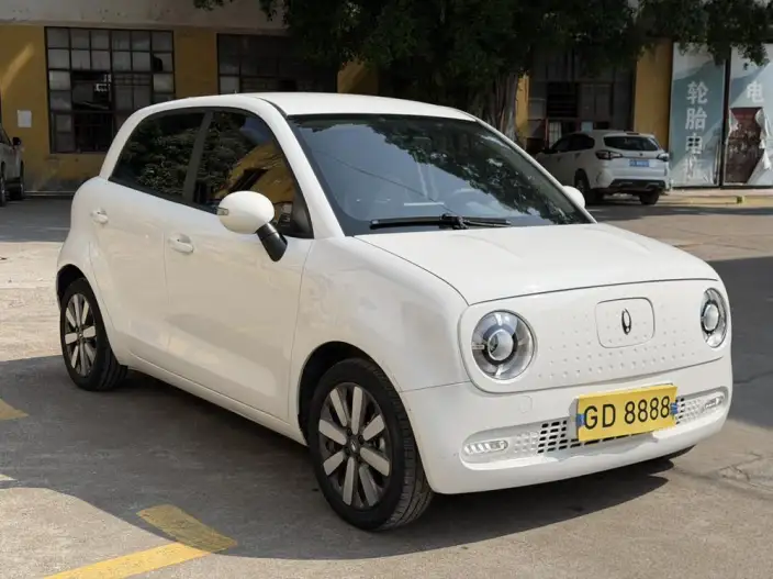 ORA Black Cat 2022 Model 351km Standard Model Ternary lithium