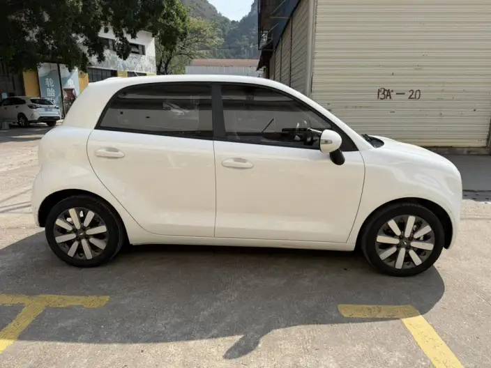 ORA Black Cat 2022 Model 351km Standard Model Ternary lithium – фото 8