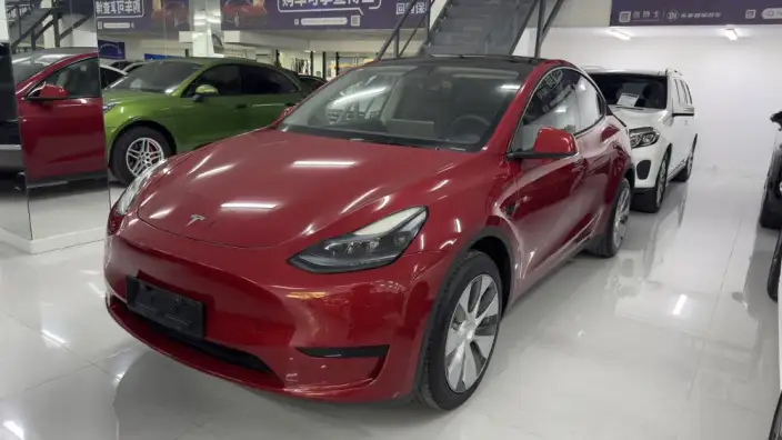 Model Y 2022 Model Rear-wheel drive version – фото 1