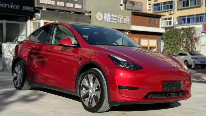 Model Y 2022 Model Rear-wheel drive version – фото 3