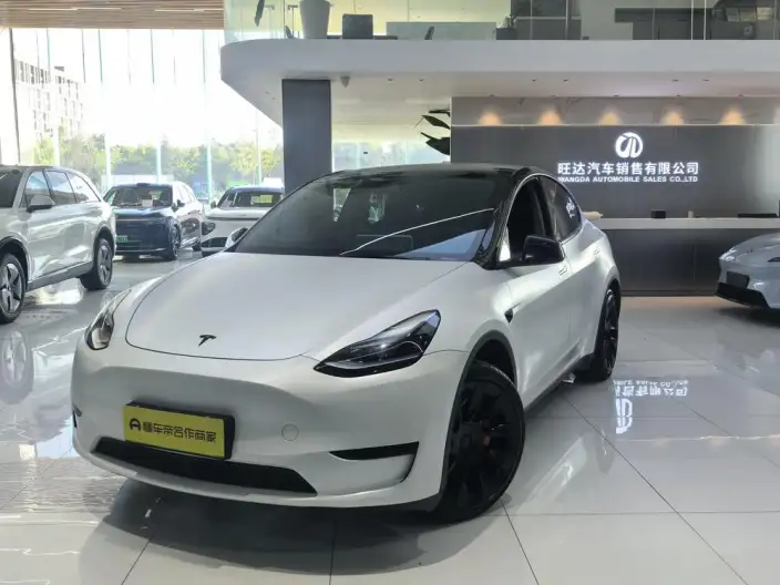 Model Y 2024 Model Rear-wheel drive version – фото 1