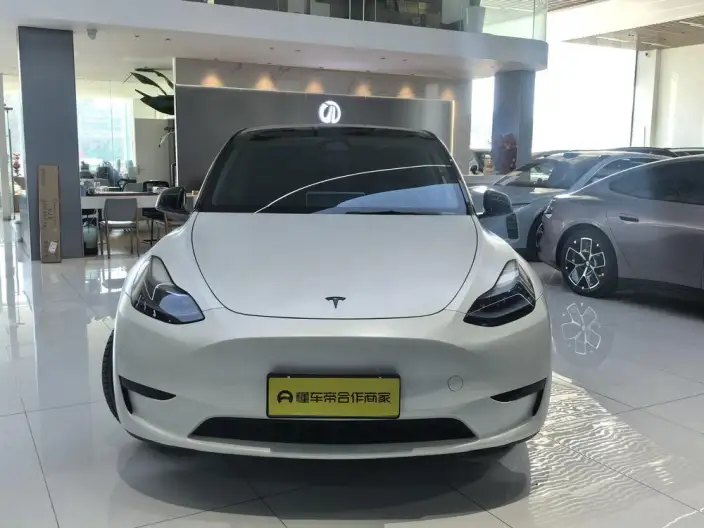 Model Y 2024 Model Rear-wheel drive version – фото 2