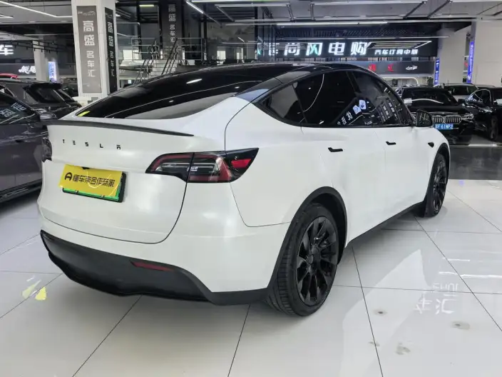 Model Y 2024 Model Rear-wheel drive version – фото 6
