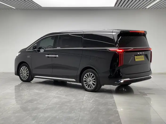 Wey Gaoshan P HEV 2025 Model 4WD Wey Gaoshan 8 – фото 5
