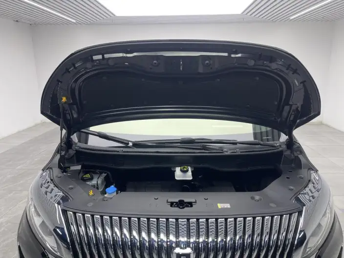 Wey Gaoshan P HEV 2025 Model 4WD Wey Gaoshan 8 – фото 10