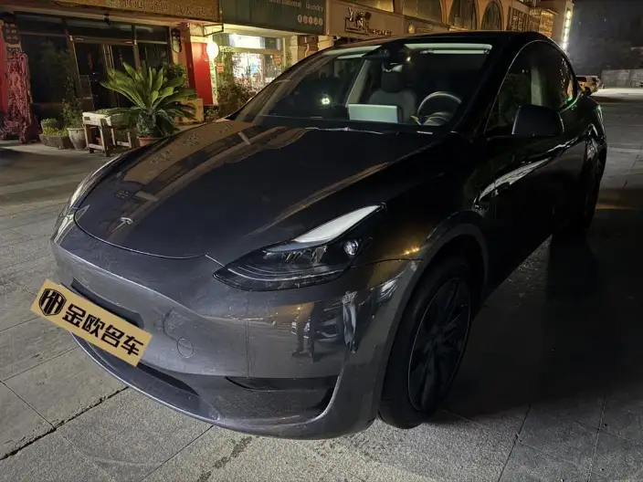 Model Y 2024 Model Rear-wheel drive version – фото 1