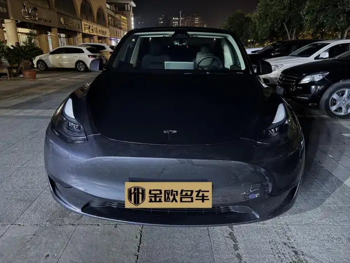Model Y 2024 Model Rear-wheel drive version – фото 2