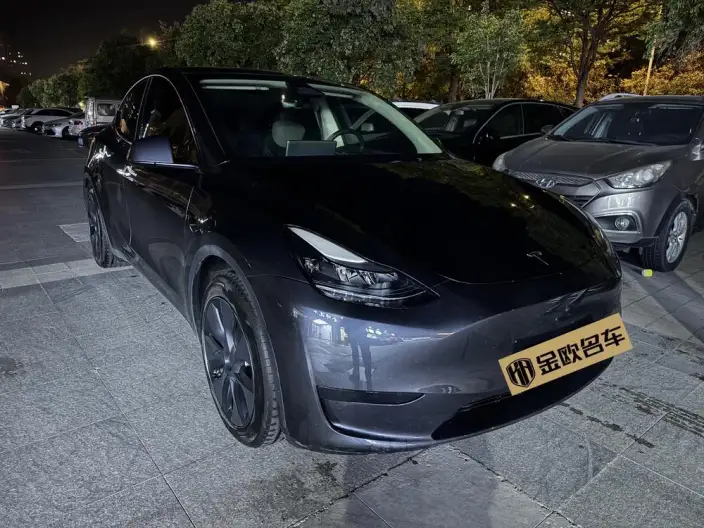 Model Y 2024 Model Rear-wheel drive version – фото 3