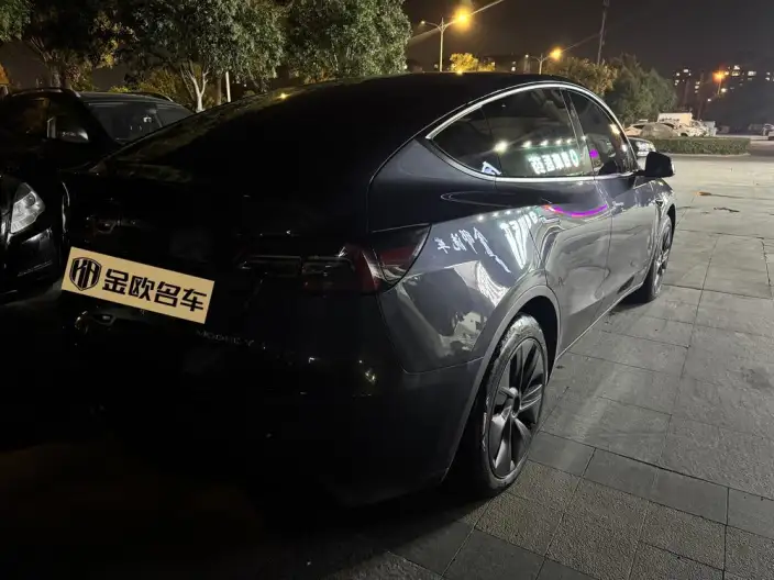 Model Y 2024 Model Rear-wheel drive version – фото 5