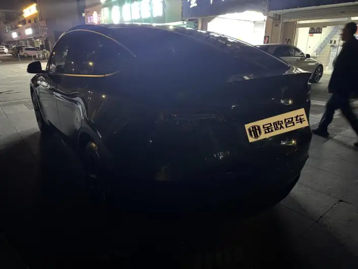 Model Y 2024 Model Rear-wheel drive version – фото 6