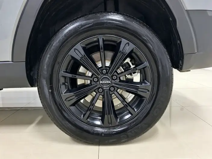 HAVAL Menglong PHEV 2024 Model 1.5T Hi4 102 Pro – фото 9