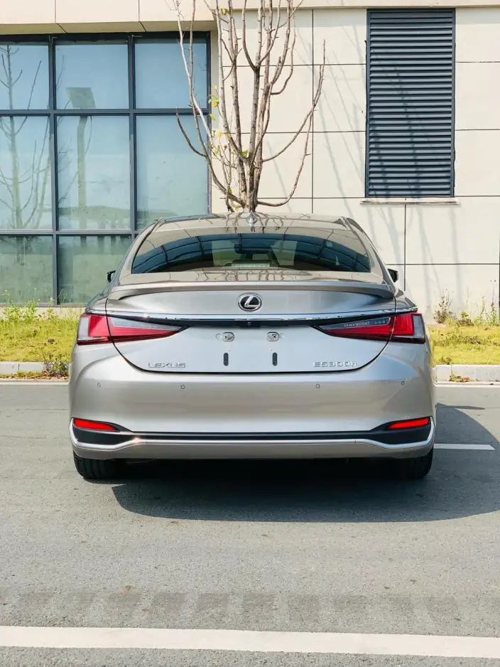 Lexus ES 2022 Model 300h Superior Edition – фото 6
