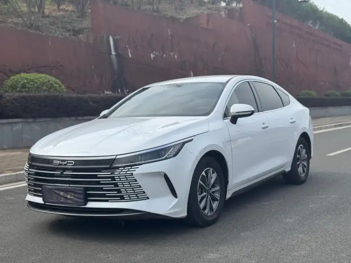 BYD Destroyer 05 2024 Model Honor Edition DM-i 55KM Luxury Model – фото 1